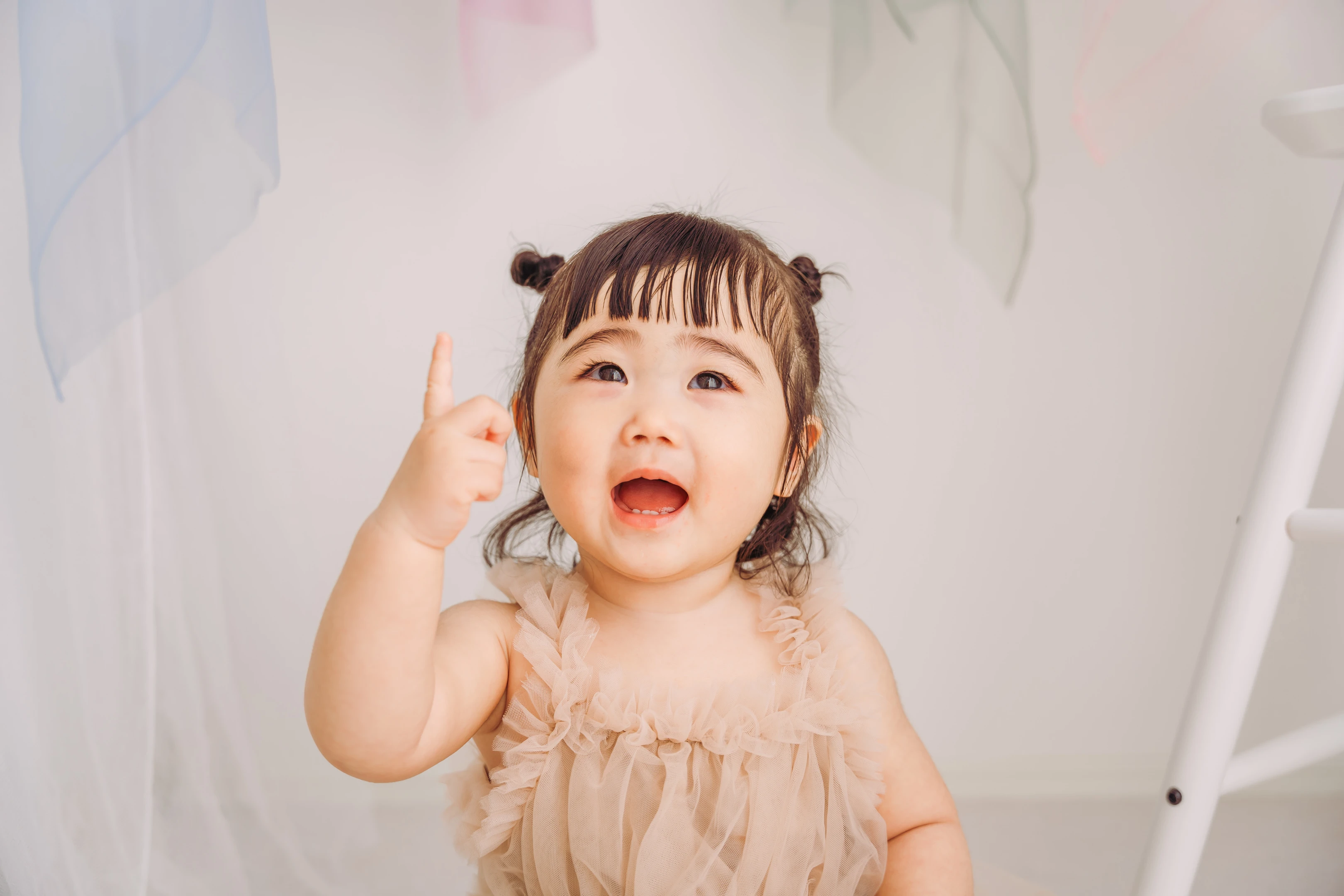 Gallery の画像 [25]