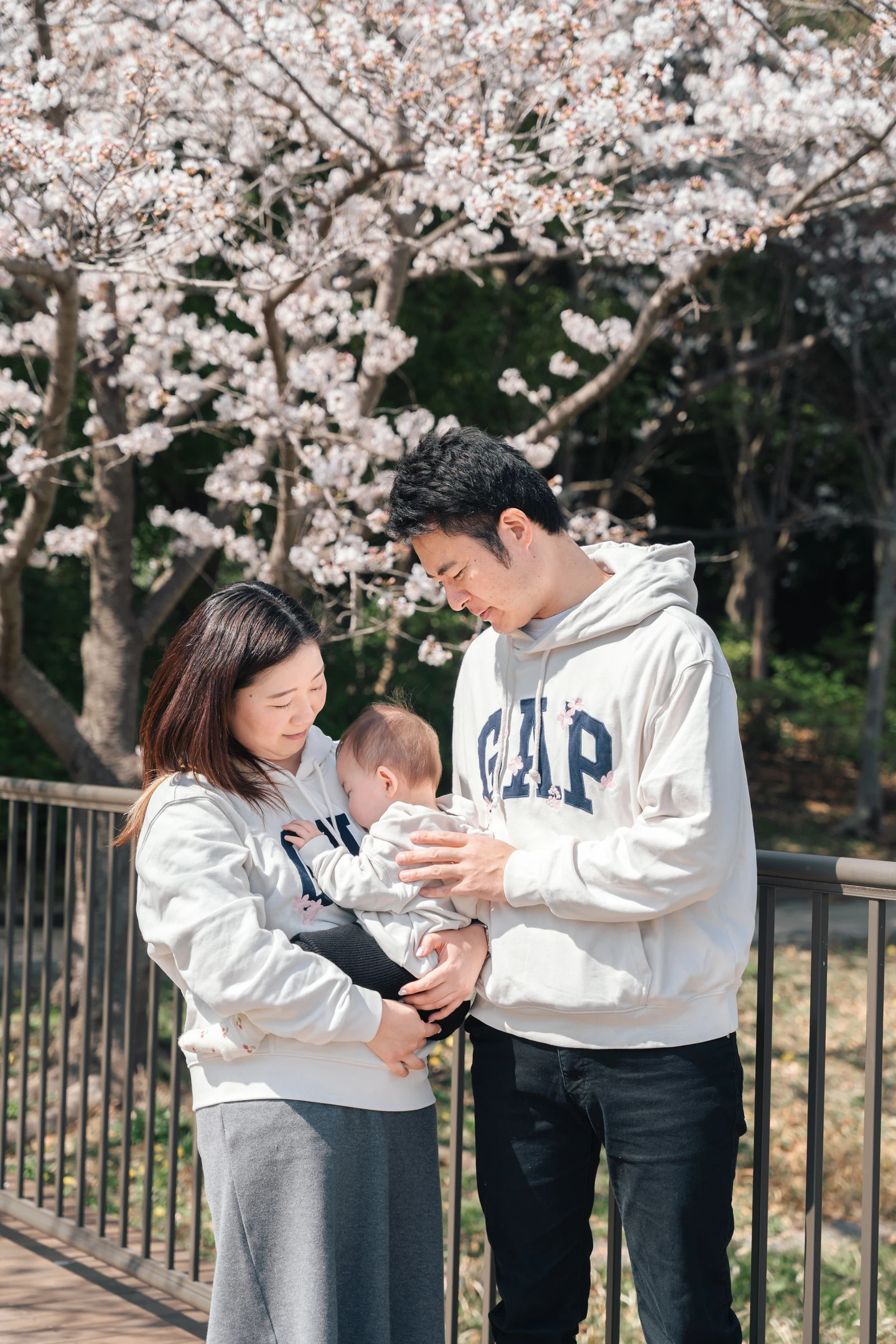 Gallery の画像 [2]