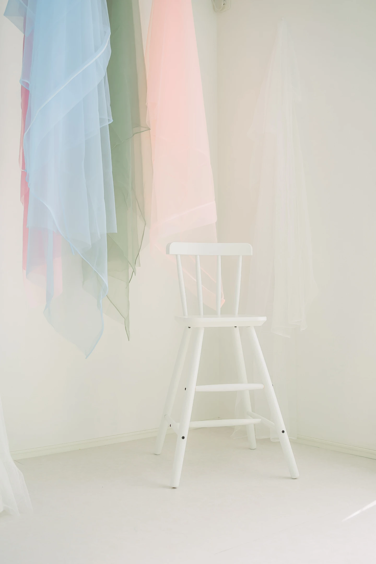 Gallery の画像 [5]